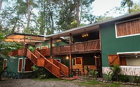 The Green Jungle & Tree House Caribe Puerto Viejo de Talamanca Exterior photo