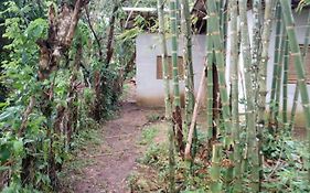 Wubu, Jungle Lodge Livingston Exterior photo