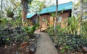 Mariposa Jungle Lodge San Ignacio Room photo