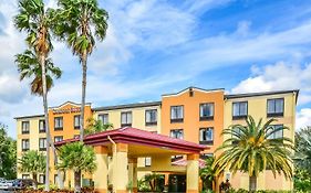 Comfort Suites Tampa/Brandon Exterior photo