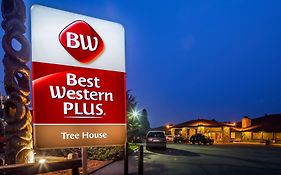 Best Western Plus Tree House Hotel Mount Shasta Exterior photo