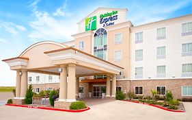 Holiday Inn Express Hotel & Suites Dallas West, An Ihg Hotel Exterior photo