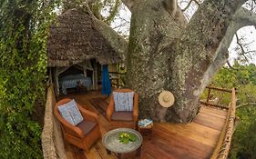 Chole Mjini Treehouses Lodge Utende Exterior photo