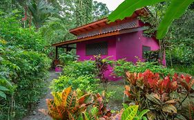 Colores Del Caribe Villa Puerto Viejo de Talamanca Exterior photo