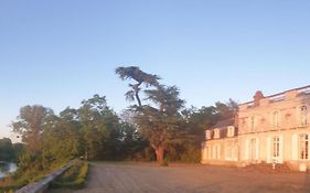 Chateau De Colliers Muides-sur-Loire Exterior photo