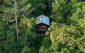Yatama Rainforest Ecolodge Sarapiqui Exterior photo