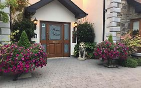 Avlon House Bed And Breakfast Carlow Exterior photo