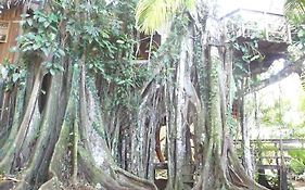 Topos Tree House Cahuita Exterior photo