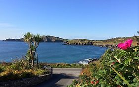 Sandycove House Bed & Breakfast Castlehaven Room photo