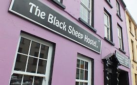 The Black Sheep Hostel Killarney Exterior photo