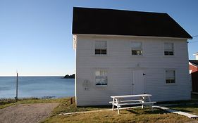The Old Salt Box Co - Gertie'S Place Twillingate Exterior photo