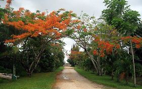 Orchid Garden Eco-Village Belize City Exterior photo