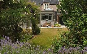 B&B La Cle Du Sud Merelbeke Exterior photo