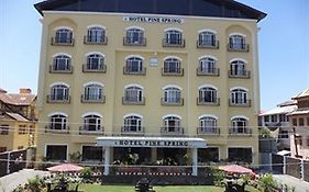 Hotel Pine Spring Wazir Bagh Srinagar  Exterior photo