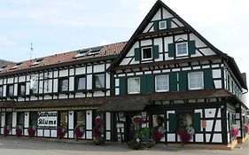 Hotel Landgasthof Blume Lichtenau  Exterior photo