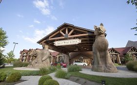 Great Wolf Lodge Cincinnati/Mason Exterior photo