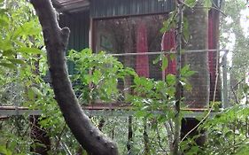 The Green Tree Lodge Monteverde Exterior photo