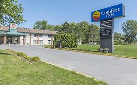 Comfort Inn Cornwall Exterior photo