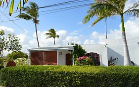 Frangipani Apartment Christ Church Exterior photo