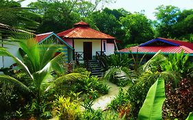 Casa Abundancyah B&B Bocas del Toro Exterior photo