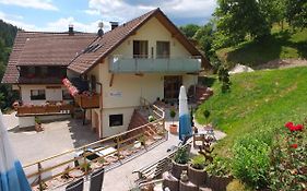 Paradies Im Schwarzwald Bad Peterstal-Griesbach Exterior photo