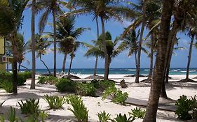Hibiscus Beach Resort Saint Croix Island Exterior photo