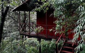 Ayar Jungle Lodges Nainital Exterior photo