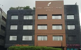 The Purple Leaf Hotels Hyderabad Exterior photo