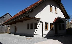 Apartments Vrdjan Cerknica Exterior photo