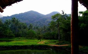 Raintree Villa Dambulla Exterior photo