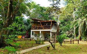 Caribbean Secret Villa Cahuita Exterior photo