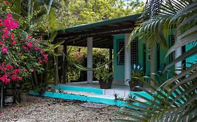 Rincon Blu Tropical House Villa Exterior photo