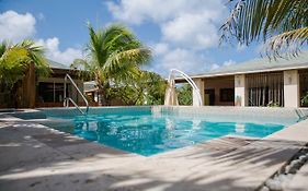 Little Jungle Apartments Aruba Palm Beach Exterior photo