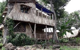 El Bamboo Cabins Apartment Balgue Exterior photo