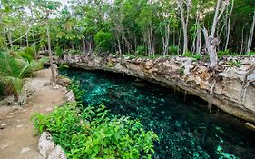 Hotel Casa Tortuga Tulum Cenotes Park Inclusive Exterior photo