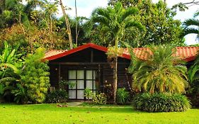 Hotel Tangara Arenal B&B La Fortuna Exterior photo