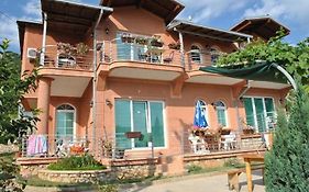 Vila Anastas Apartment Ohrid Exterior photo
