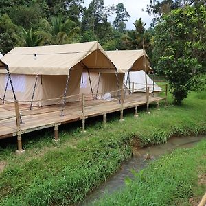 Canopy Villa Glamping Park Kampong Sum Sum Exterior photo