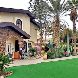 Desert Bird Guest House Arad Exterior photo