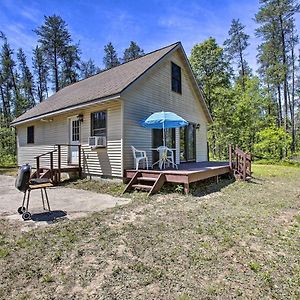 Secluded Irons Cabin With 5-Acre Yard, Deck, Grill! Villa Exterior photo