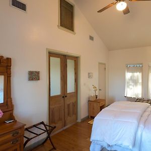 The River Road Retreat At Lake Austin-A Luxury Guesthouse Cabin & Suite Exterior photo