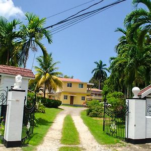 Little Shaw Park Guest House Ocho Rios Exterior photo