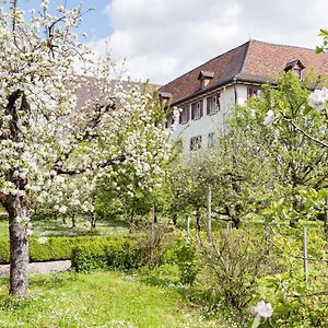 Kloster Dornach / Basel Exterior photo