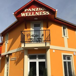 To- Party Panorama Panzio & Wellness Hotel Kiszombor Exterior photo