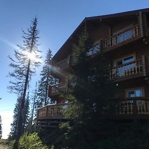 Alpin Eco Chalet & Wellness Hotel Dragobrat Exterior photo
