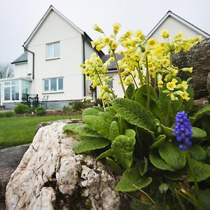 Copper Meadow Bed & Breakfast Launceston Exterior photo