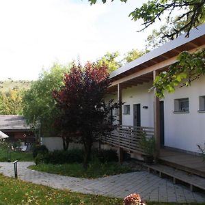 Zimmervermietung Am Habsberg Velburg Exterior photo