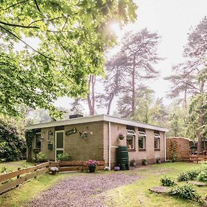 Holiday Home By The Forest In Ommen With Pool Room photo