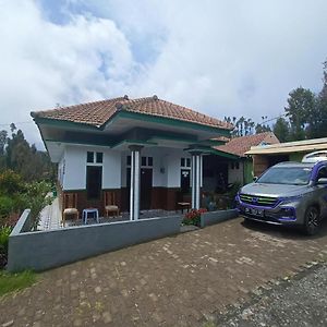 Elen Homestay By Abm Bromo Exterior photo