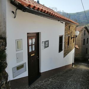Casa Do Alto - Benfeita Bed & Breakfast Exterior photo
